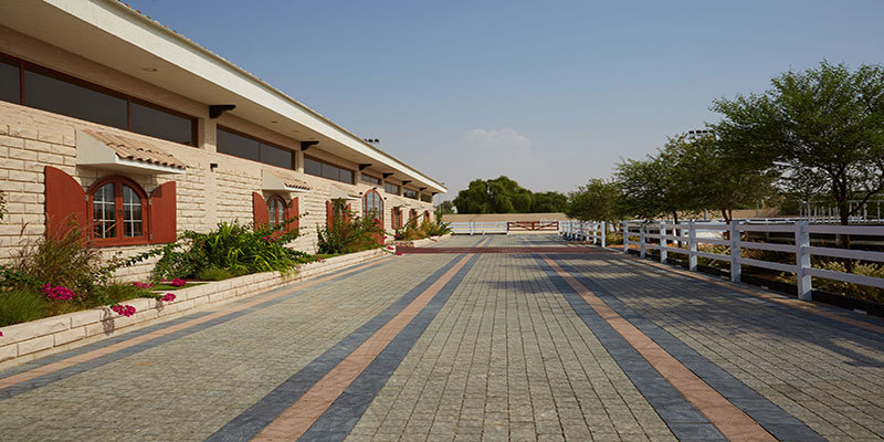 Al Shira'aa Stables, Sharjah