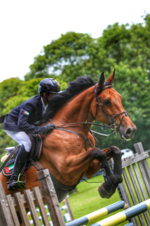 Al Shira’aa Hickstead Derby 2019